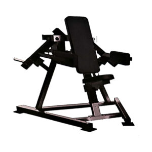 Free Weight Lateral Raise