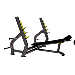 Olympic Decline Bench