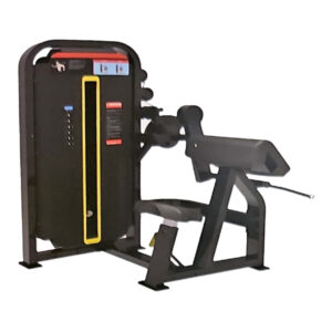 Biceps/Triceps