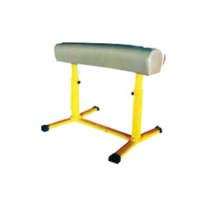 Vaulting Horse